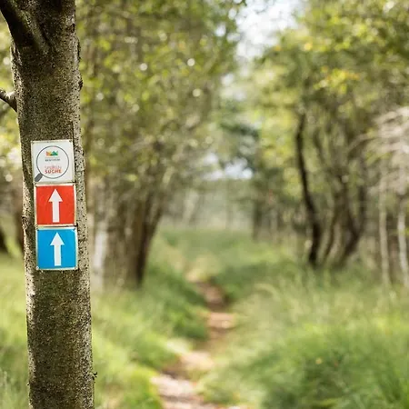 Nickisch 4* Schuettorf