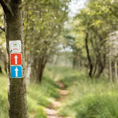 Nickisch 4* Schuettorf